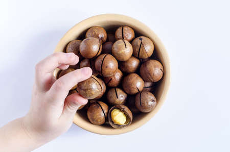 A child's hand taking a sweet macadamia nut from a cup, macadamia nuts in a cup on a light backgroundの写真素材