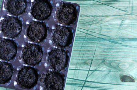 land in plastic packaging prepared for planting seedlings on a wooden background top view