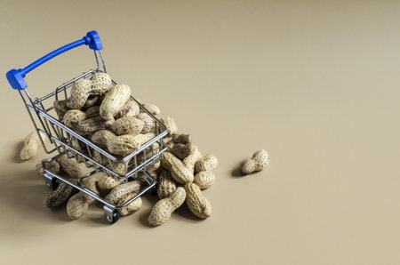 peanuts in a metal basket and scattered peanuts on a light brown background of kopi spaceの写真素材