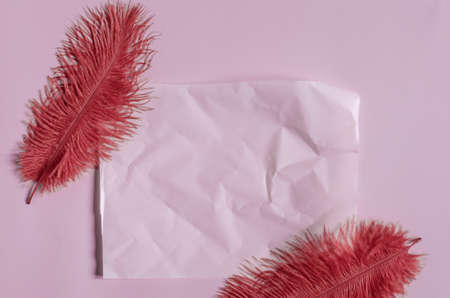 Pink background of crumpled paper with red feathers is a place for text. The texture of crumpled paper.の写真素材