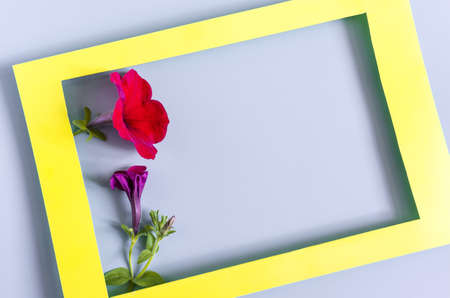 A colored frame decorated with red flowers on a light background of the mine space. Flat Lei bright...