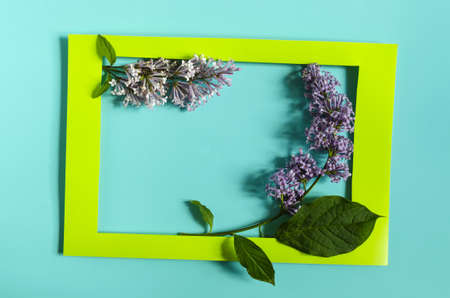A colored frame decorated with a branch of lilac with green leaves on a colored background of kopi space. Flat ley paper photo frame and lilac flowersの写真素材