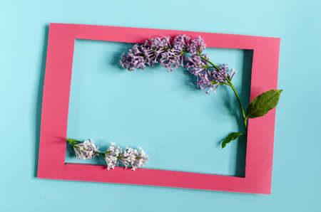 A colored frame decorated with a branch of lilac with green leaves on a colored background of the mine space. Flat photo frame made of pink paper and lilac flowersの写真素材
