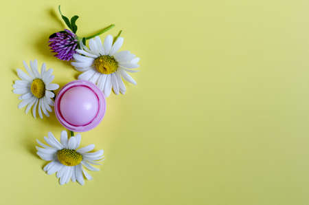 Wild flowers of chamomile and clover and a bottle of balm on a colored background. Flowers and cosmetics on a light background a place for textの写真素材