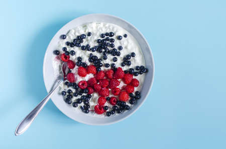 Breakfast cottage cheese with sour cream and berries in a blue plate on a light background. Healthy food berries and cottage cheese in a plate of kopi spaceの写真素材