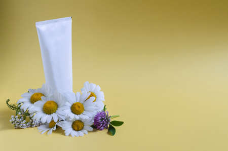 Chamomile flowers, clover and a white tube of cream on a yellow background. Flowers with white petals and cosmetics on a light background of the copy spaceの写真素材