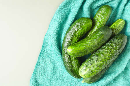 Fresh cucumbers on a green cloth top view. Green cucumbers on a light background.の写真素材