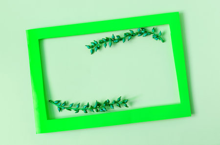 A colored frame decorated with blue branches on a colored background of the copy space. Flat ley-bright green frame and colored decorの写真素材