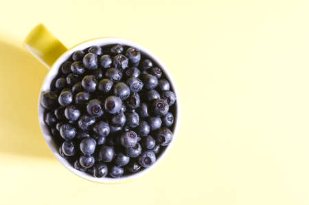 Blueberries in a yellow circle on a yellow background top view. Dark berries in a circle on a colored backgroundの写真素材
