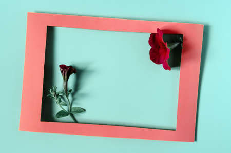 A red cardboard frame decorated with bright red flowers with green leaves on a colored copy space background.の写真素材