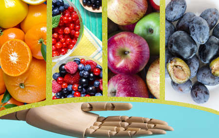 A collection of bright pictures with citrus fruits, fruits, and berries. Plums, peaches, apples and berries, a set of close-up photos and an open palm of a mannequin.の写真素材