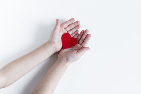 Children's open palms, holding a bright red heart on a light background.の写真素材