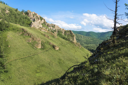 A path among the forested hills on a sunny dayの写真素材