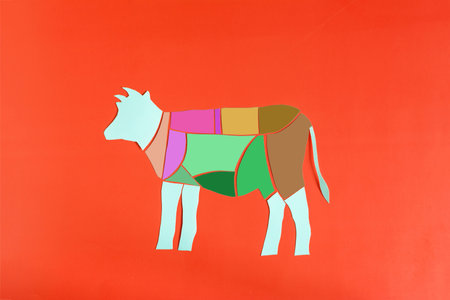 Color scheme of beef carcass made of cardboard on a bright red background close-upの写真素材