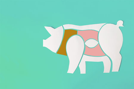 A close-up diagram with juicy pork parts highlighted in colorの写真素材