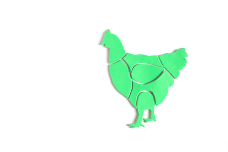 A color scheme depicting a green chicken carcass in close-up on a light backgroundの写真素材