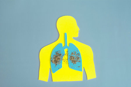 The silhouette of a man with highlighted lungs liberally sprinkled with tobacco. The concept of the harm of smokingの写真素材
