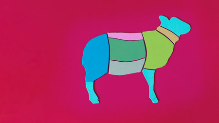 Banner diagram of a sheep meat cut in close-up on a bright background. Meat fillet schematicallyの写真素材