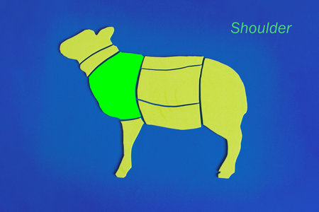 A diagram of a lamb carcass made of soft fabric highlights the shoulder blade area and the corresponding lettering in bright color on a blue background.の写真素材