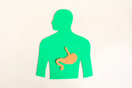 Silhouette of a man with a brightly colored stomach in close-up on a light backgroundの写真素材