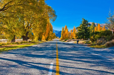 A Road South of Te Anau, New Zealand South Island. 