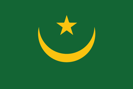 Flag of Mauritania. Vector illustration.のイラスト素材