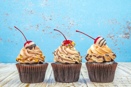Chocolate Cupcakes on wood vintage background