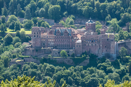 Panoramic aerial view of Heidelberg and ruins of Heidelberg Castle (Heidelberger Schloss) in a beautiful summer day, Germanyの写真素材