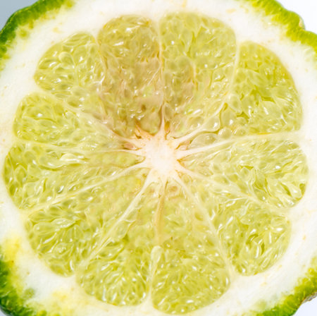 Fresh kaffir lime on a white background.の写真素材