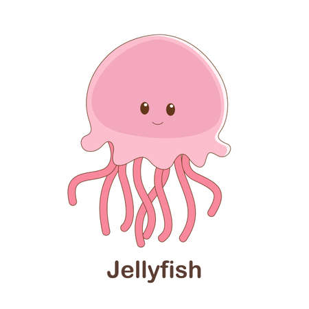 Vocabulary Flash Card for kids. Jellyfish with picture of jellyfish (Vocabulary for CEFR : A1-A2 Level)のイラスト素材