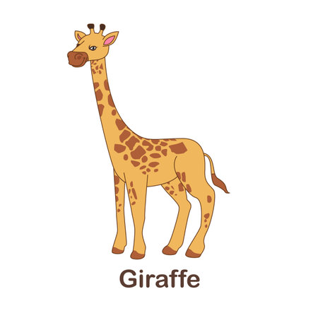 Vocabulary Flash Card for kids. Giraffe with picture of giraffe (Vocabulary for CEFR : A1-A2 Level)のイラスト素材
