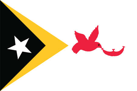 Flag of Baucau districts of Timor Leste. Vector illustration.のイラスト素材