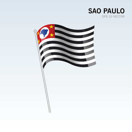 Waving flag of SÃ£o Paulo states,federal district of Brazil isolated on gray backgroundのイラスト素材