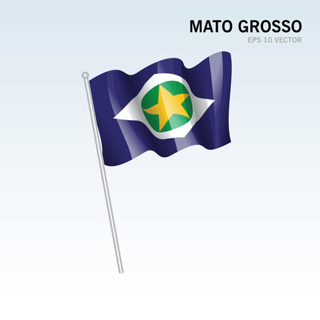 Waving flag of Mato Grosso states,federal district of Brazil isolated on gray backgroundのイラスト素材