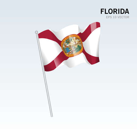 Waving flag of Florida state of United States of America on gray backgroundのイラスト素材