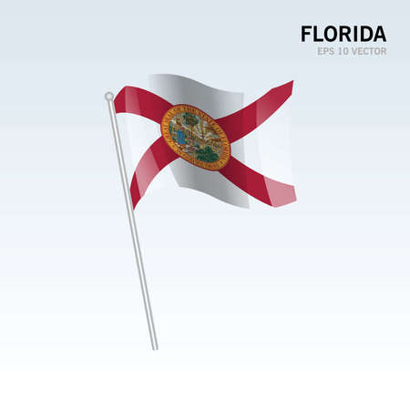 Waving flag of Florida state of United States of America on gray backgroundのイラスト素材