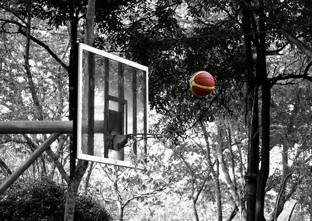 Target and focusの素材