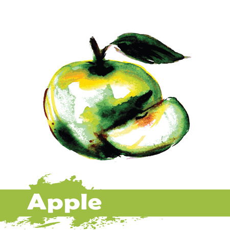 Hand drawn watercolor painting on white background. Vector illustration of fruit appleのイラスト素材
