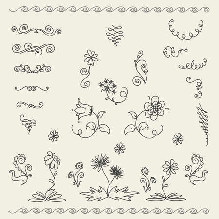 Calligraphic design elements and page decoration, vectorのイラスト素材