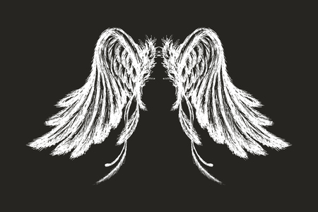 Hand drawn wings,isolated on dark background,vector illustrationのイラスト素材