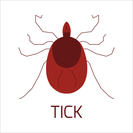 Tick bug icon design template. Mite. Isolated vector illustration. It can be used as a logo, icon, pictogram or an infographic element. Perfect for your design.のイラスト素材