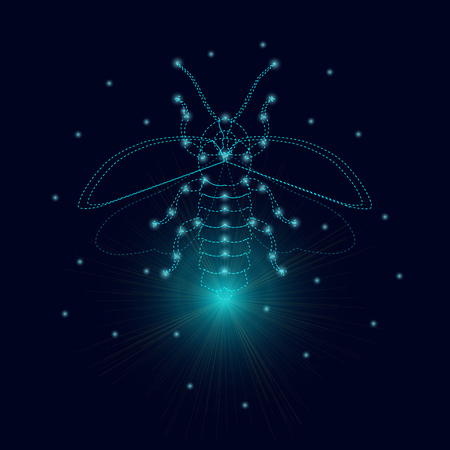 Firefly bug  design template. Luminous firefly. Firefly with luminous nodes at the intersections of the ribs. Flying bug glowworm. Lightning bug with its wings open. Isolated vector illustration.のイラスト素材