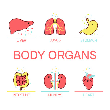 Body organs cartoon setのイラスト素材