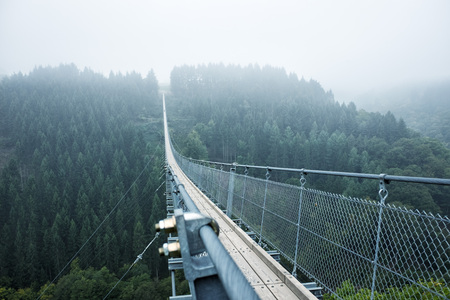 Geierlay suspension bridge in Germanyの写真素材