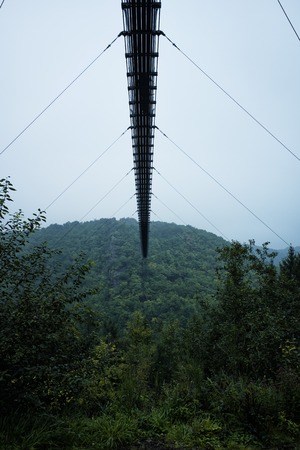 Geierlay suspension bridge in Germanyの写真素材