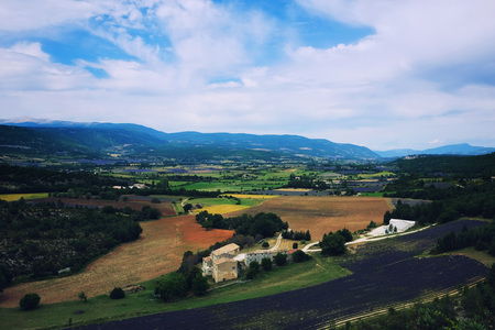 Arial view on lavender fields in Drome Alpenの写真素材