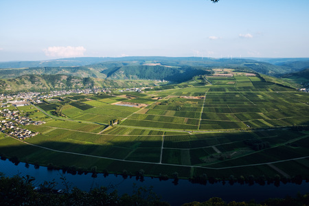 Panoramic view of Moselle Valley in Germany. Vineyards and river Mosel in Trittenheim in summer.の写真素材