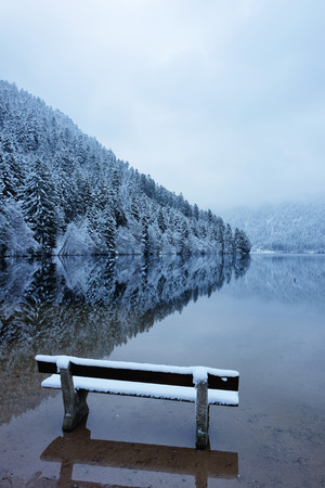 Bench by the Longemer Lake in the Vosges mountains, Xonrupt-Longemer, Lorraine, France. Winter landscape with white snowy trees reflected in water.の写真素材