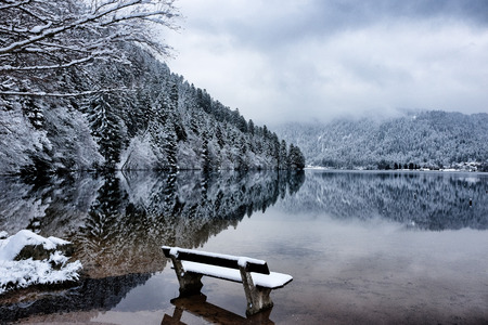 Panoramic view of Longemer Lake in the Vosges mountains, Xonrupt-Longemer, Lorraine, France. Picturesque winter landscape with white snowy trees, a bench and a house reflected in water.の写真素材