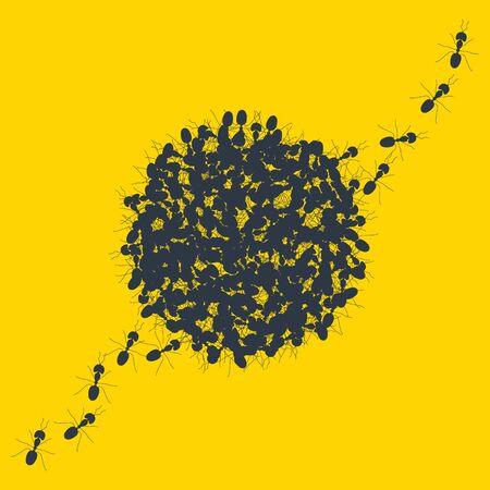 Colony of marching ants contour banner on yellow backgroundのイラスト素材